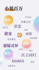 开云汽车官网app